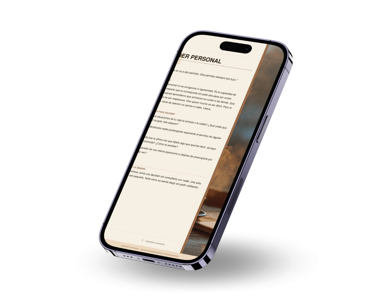 Journal Reprogramacion mental y autoconocimiento