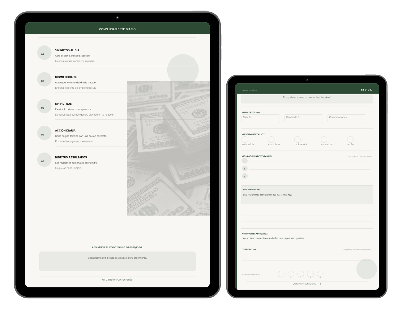 💼 DIARIO DE VENTAS Y MENTALIDAD DE ABUNDANCIA
