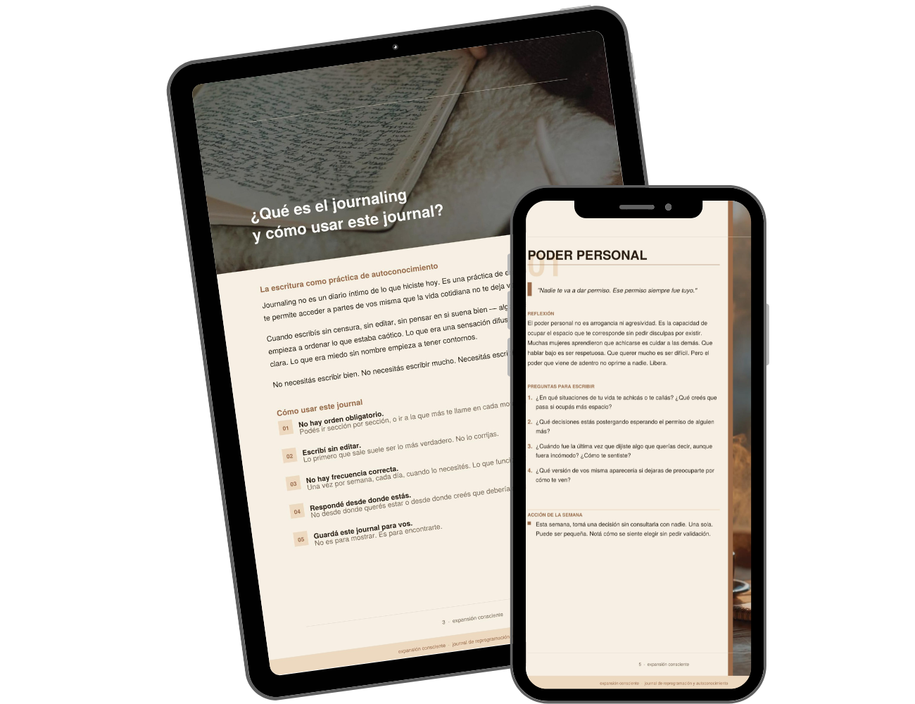 Journal Reprogramacion mental y autoconocimiento