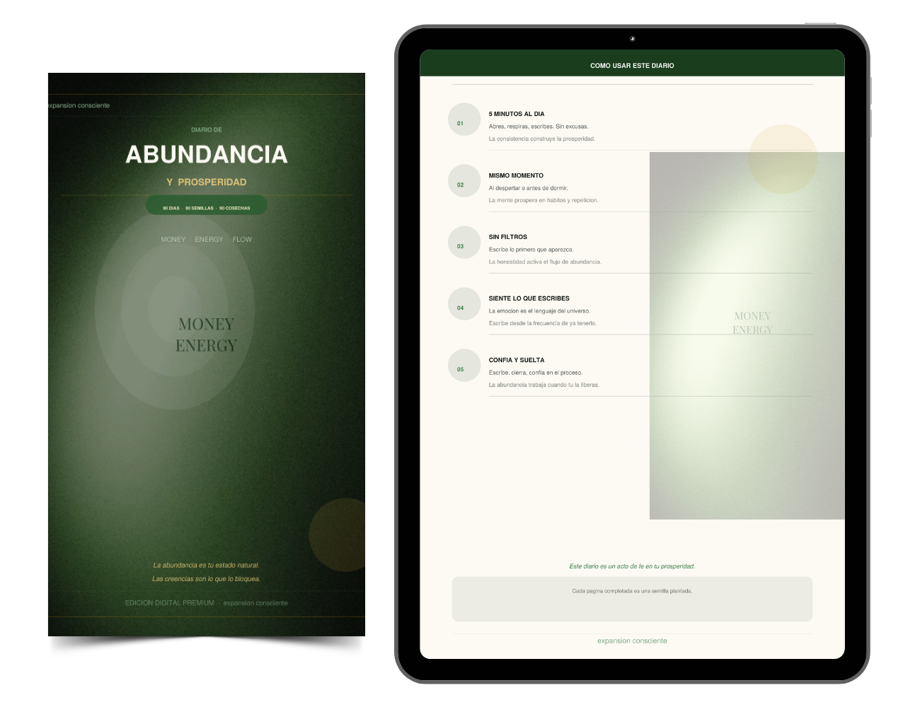 🌱DIARIO DE ABUNDANCIA Y PROSPERIDAD